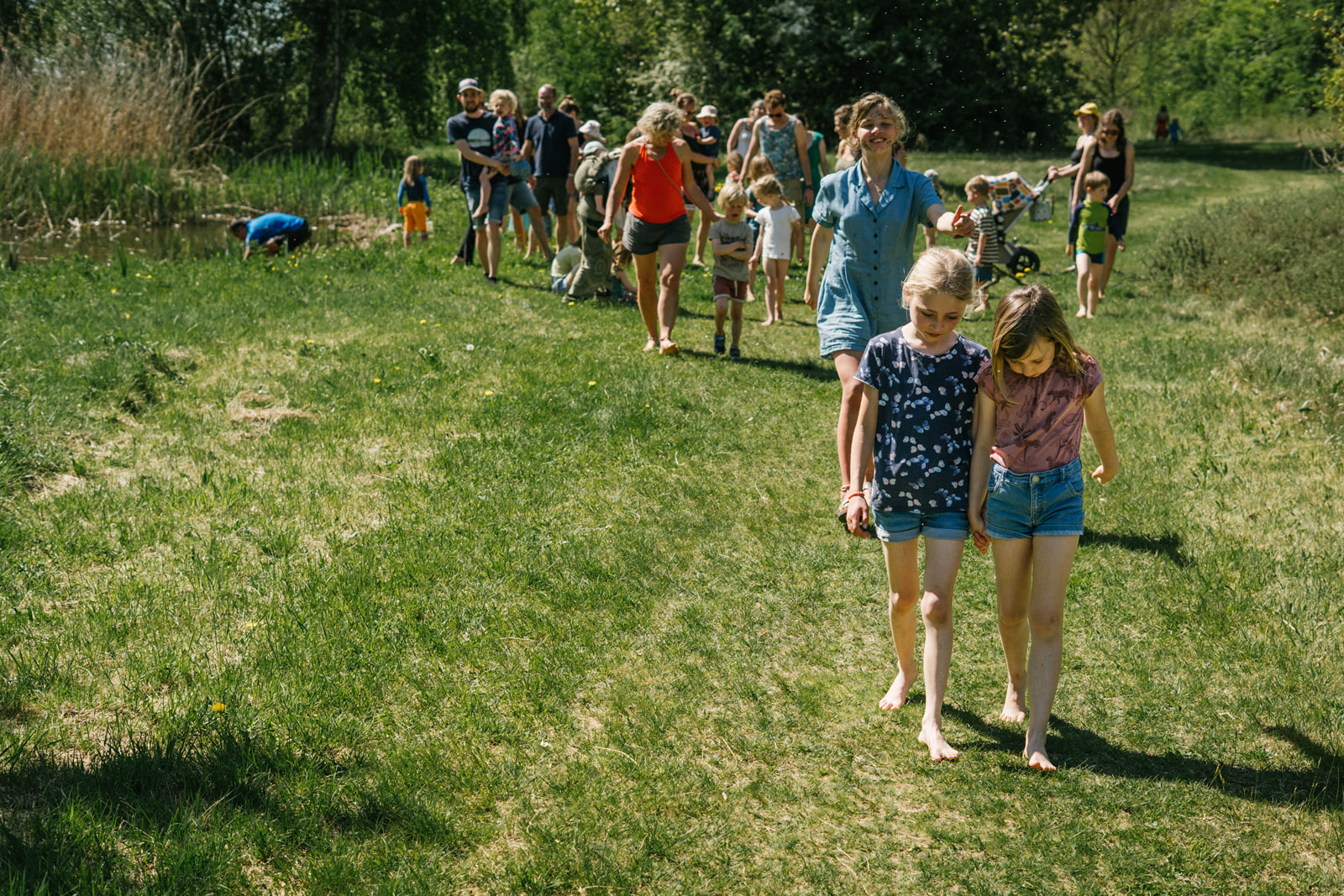 Verwilderland